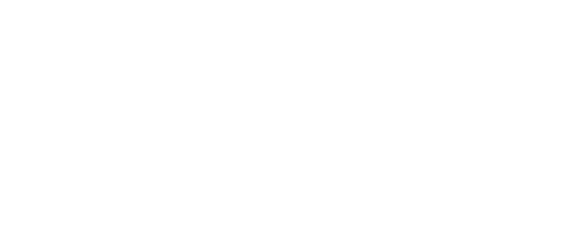 Ingenic